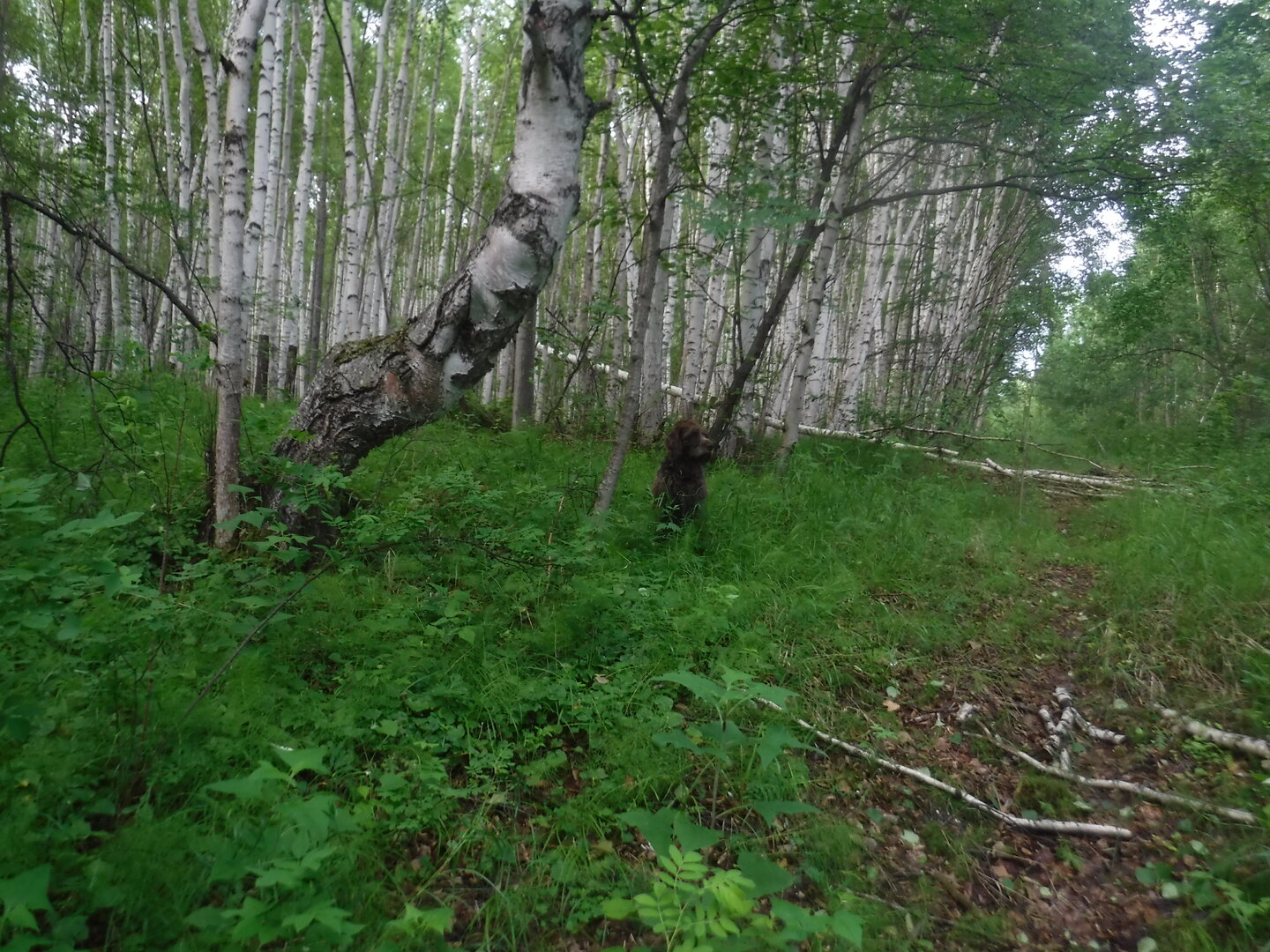DSCF1886.JPG