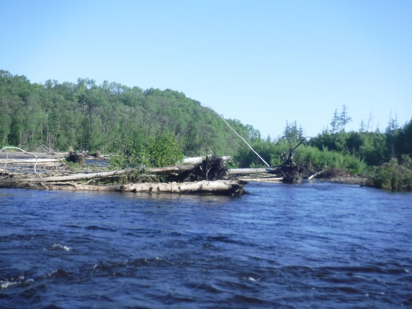 DSCF1891.JPG