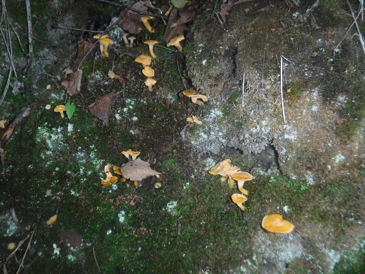DSCF1925.JPG