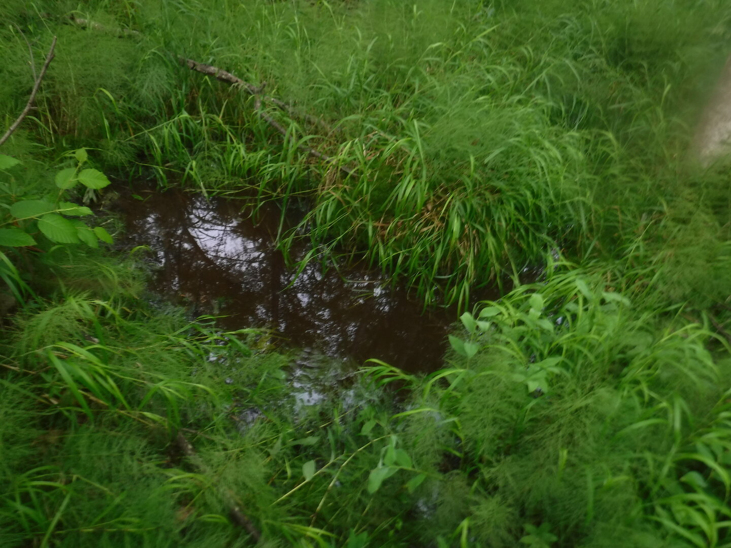 DSCF1929.JPG