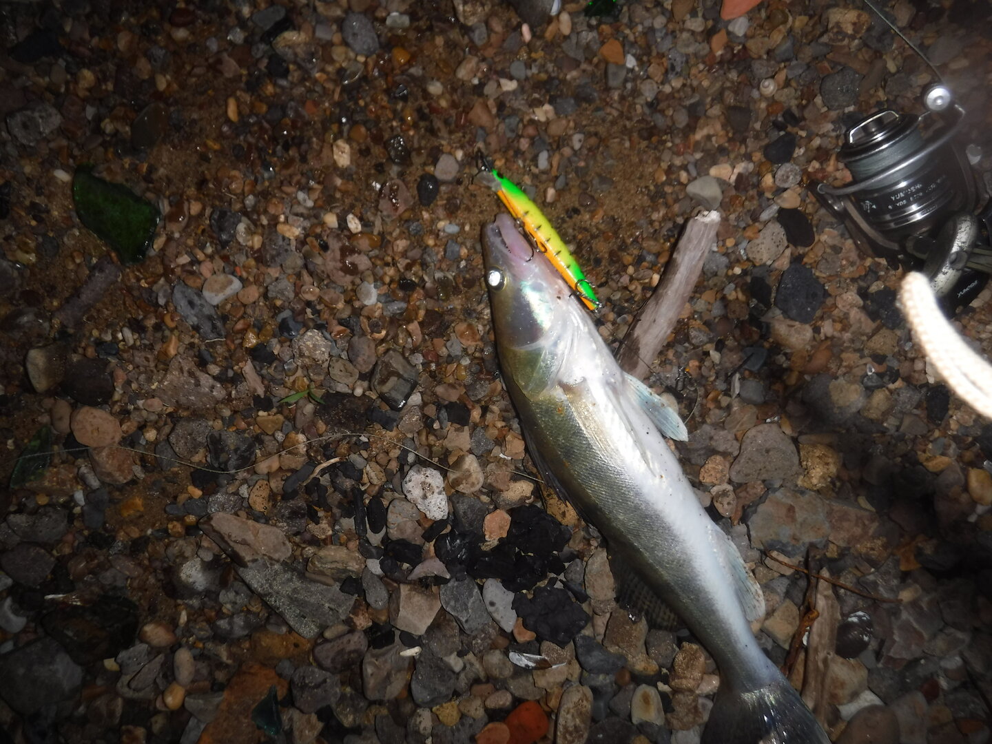 DSCF1938.JPG