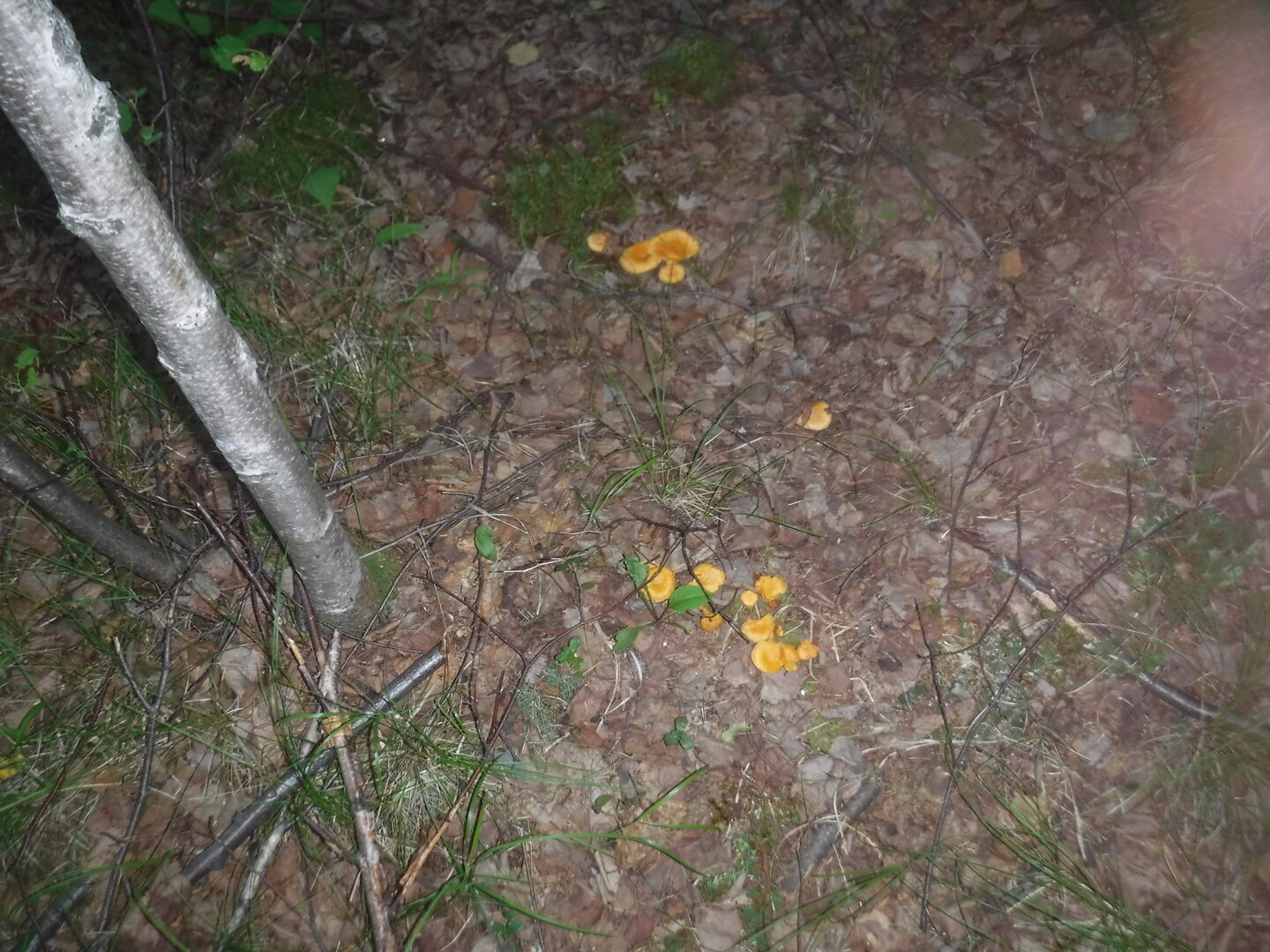 DSCF1947.JPG