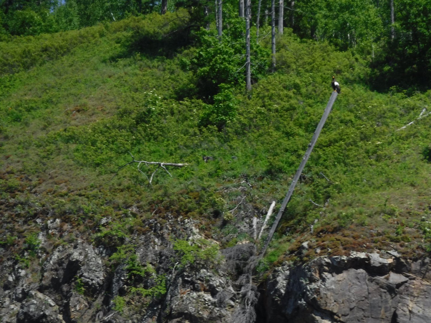 DSCF1955.JPG