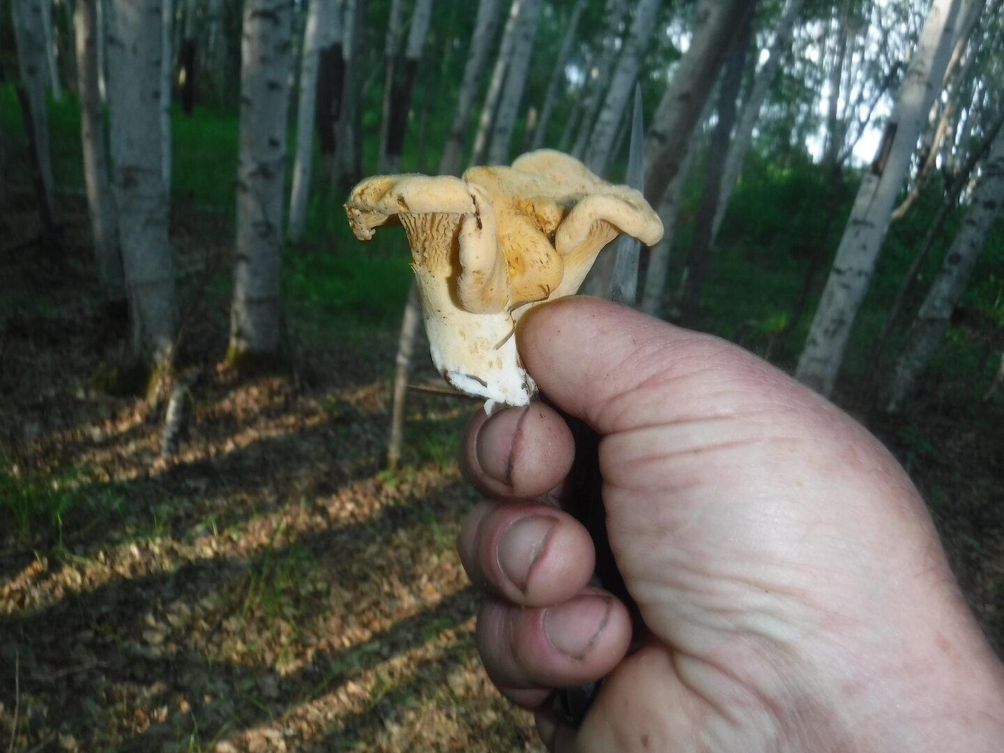 DSCF1956.JPG