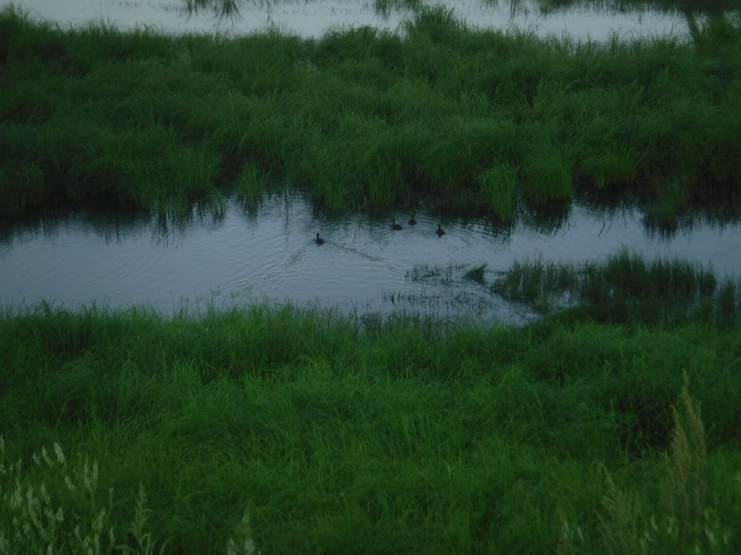 DSCF1976.JPG
