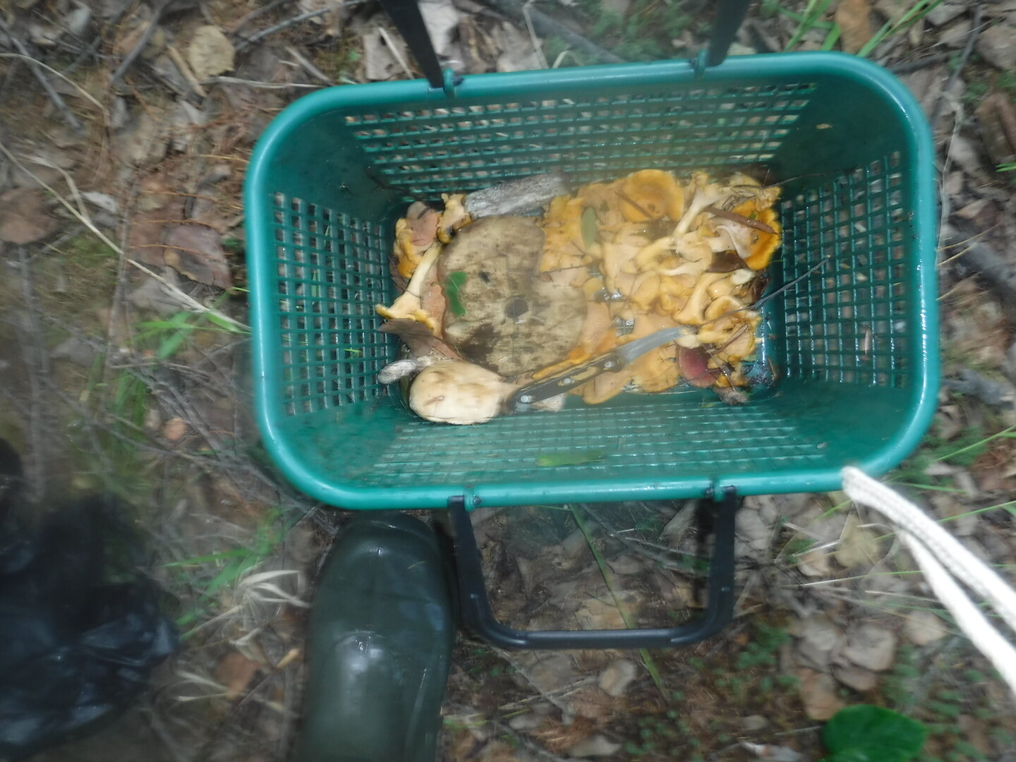 DSCF1986.JPG