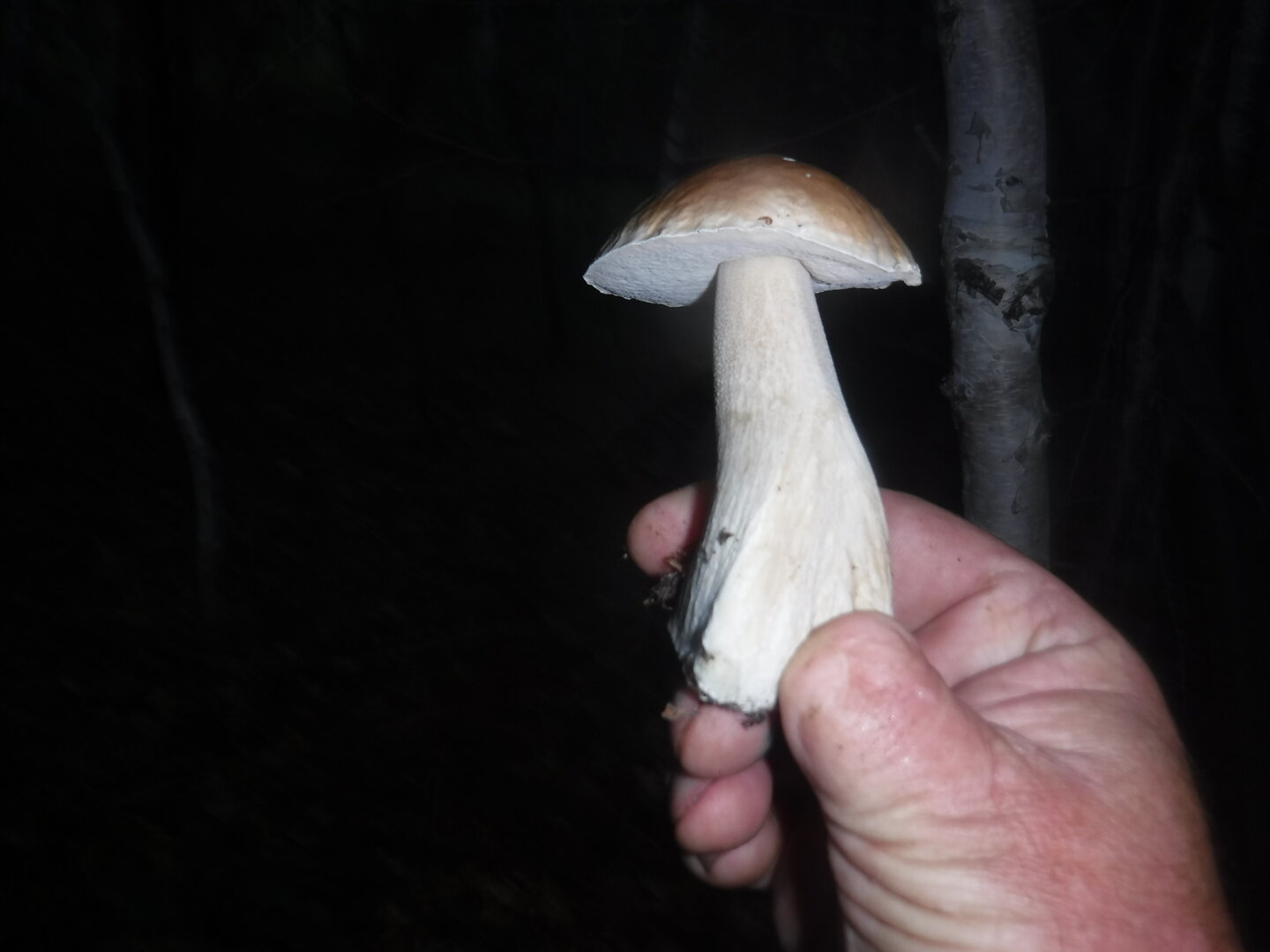 DSCF2013.JPG