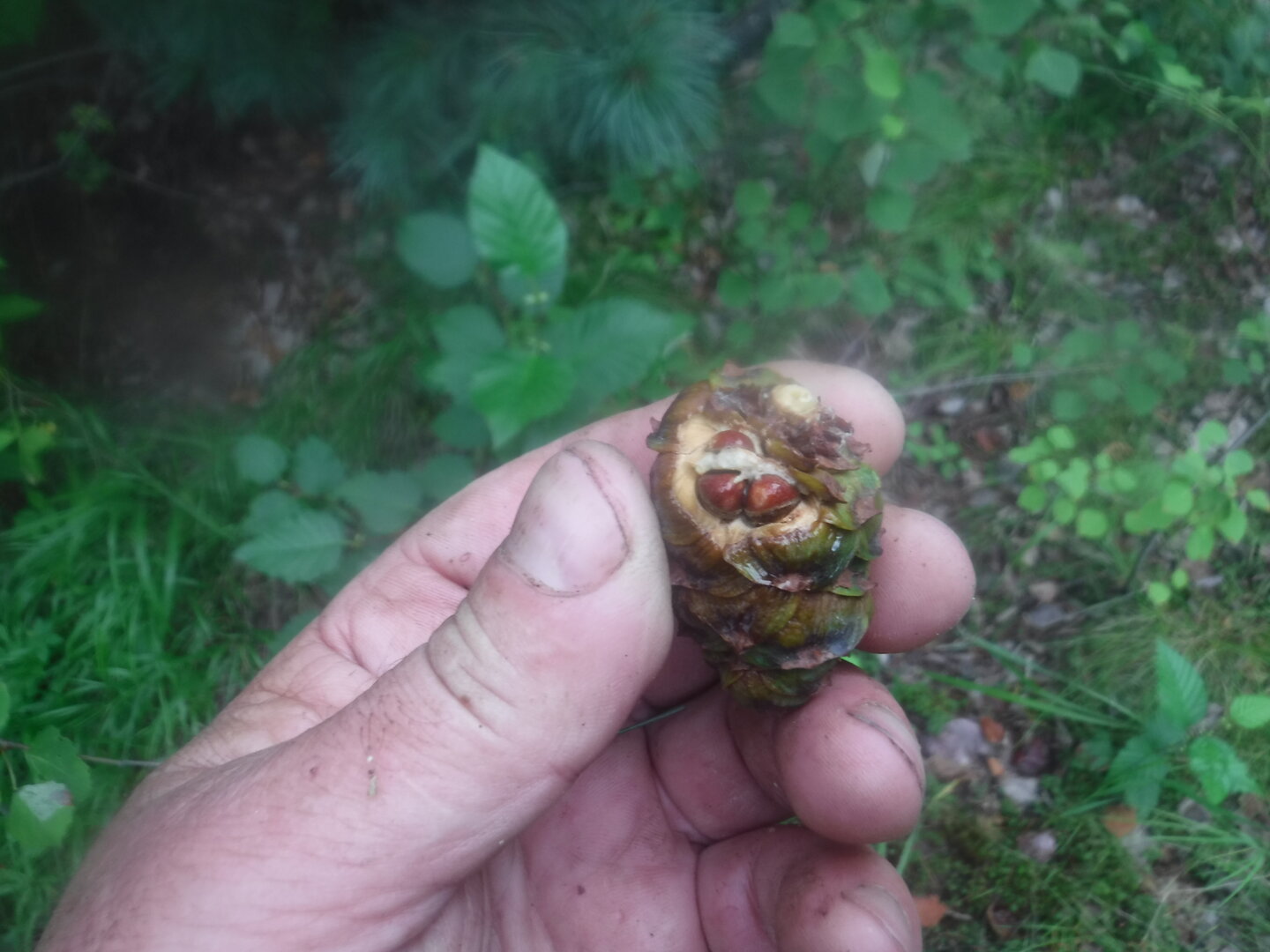 DSCF2036.JPG