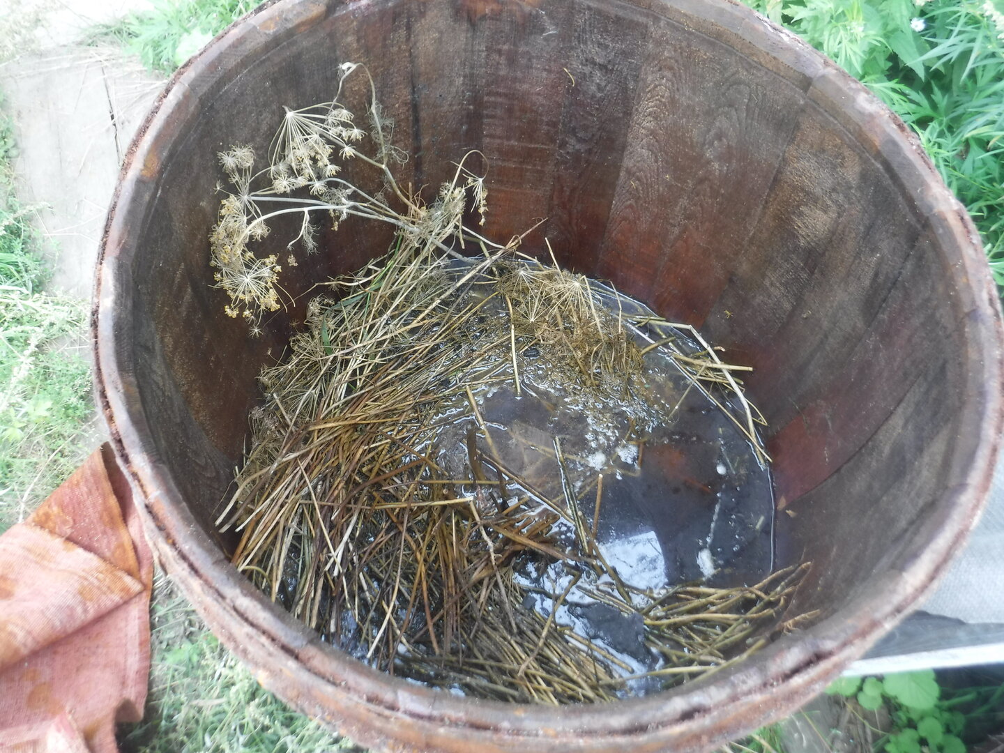 DSCF2041.JPG