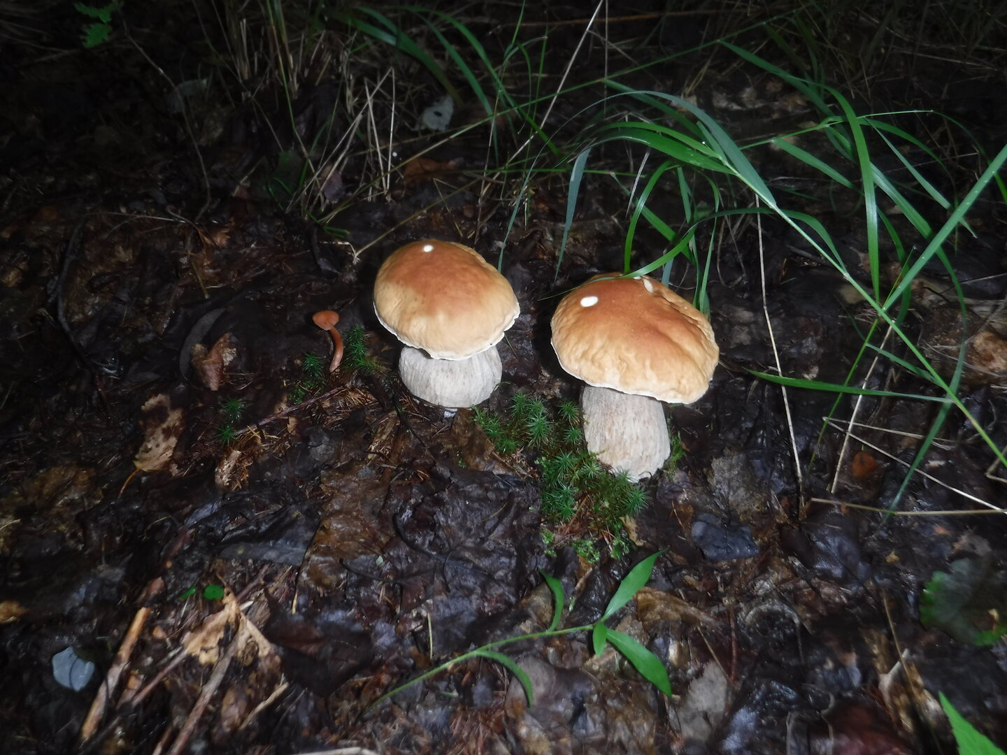 DSCF2058.JPG