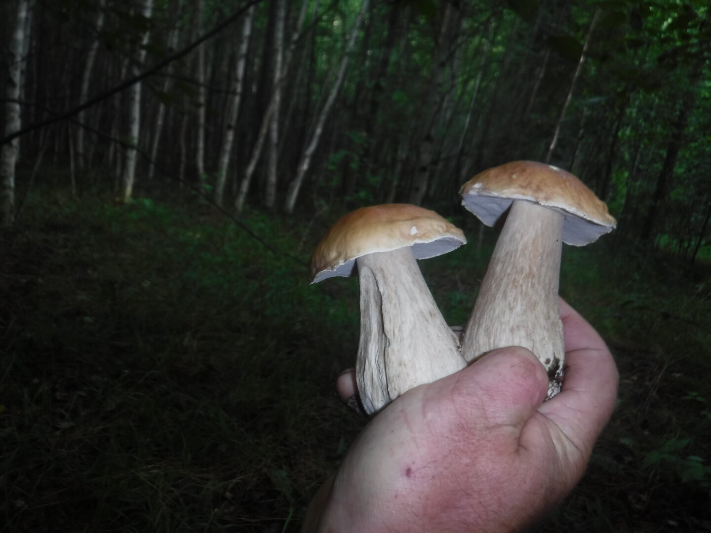 DSCF2059.JPG