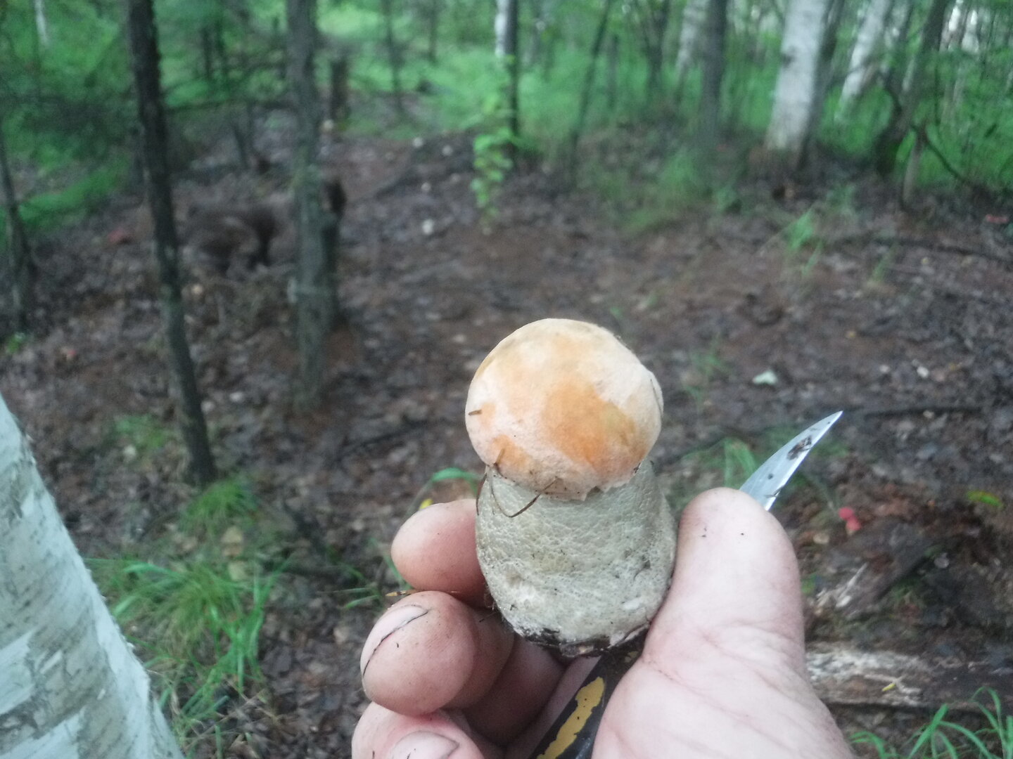 DSCF2064.JPG