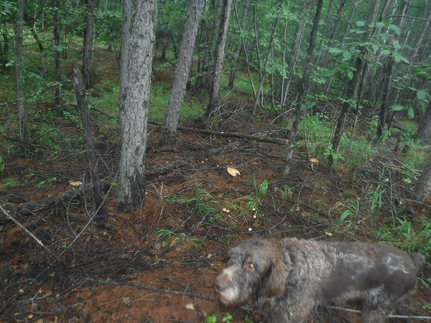 DSCF2071.JPG