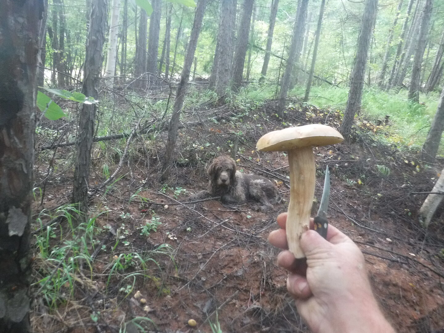 DSCF2073.JPG
