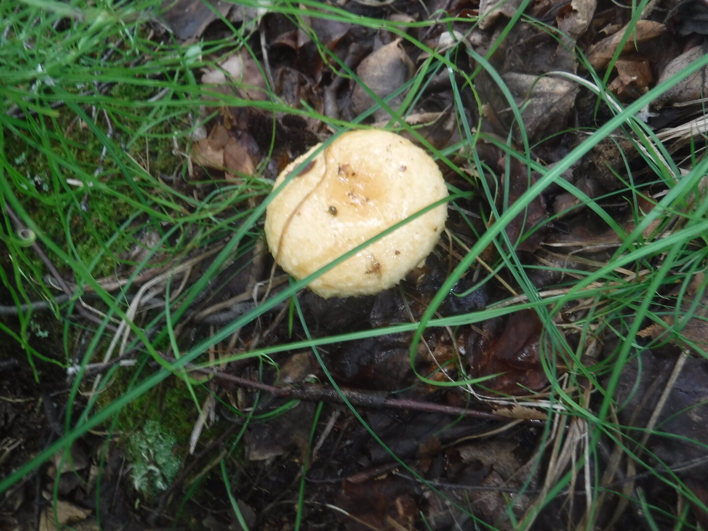 DSCF2086.JPG