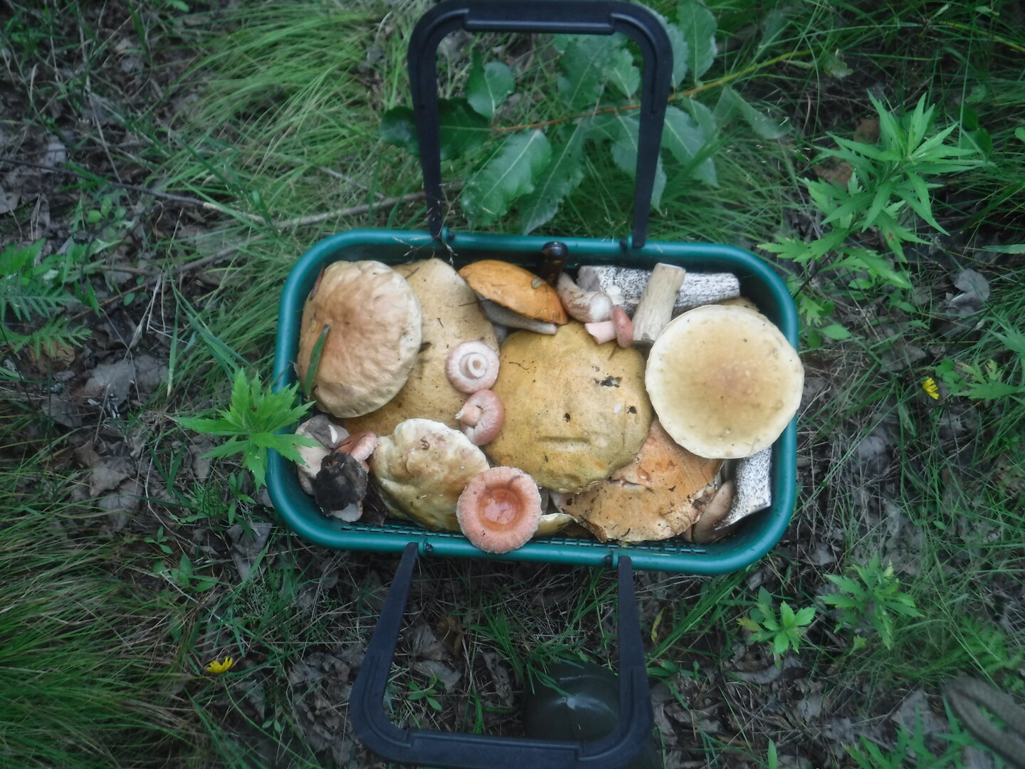 DSCF2089.JPG