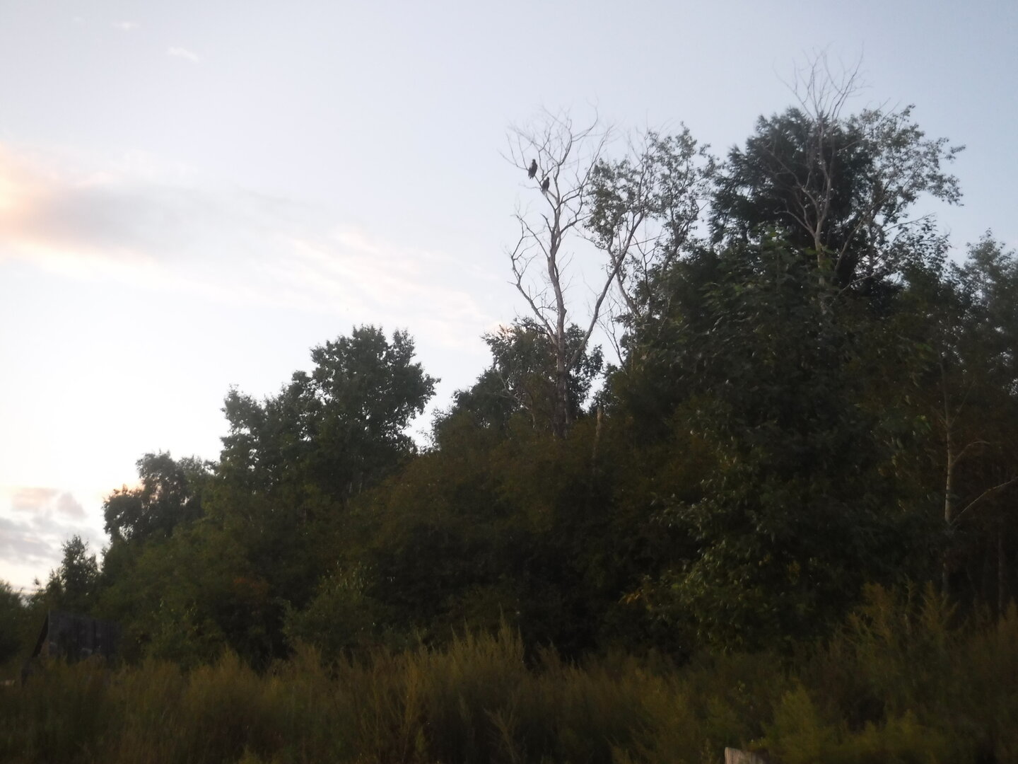 DSCF2113.JPG