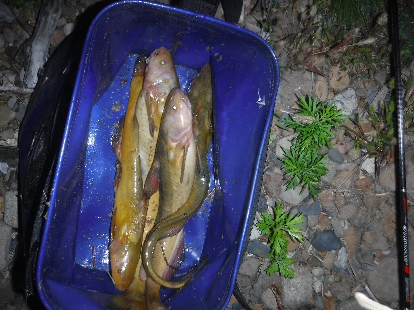DSCF2119.JPG