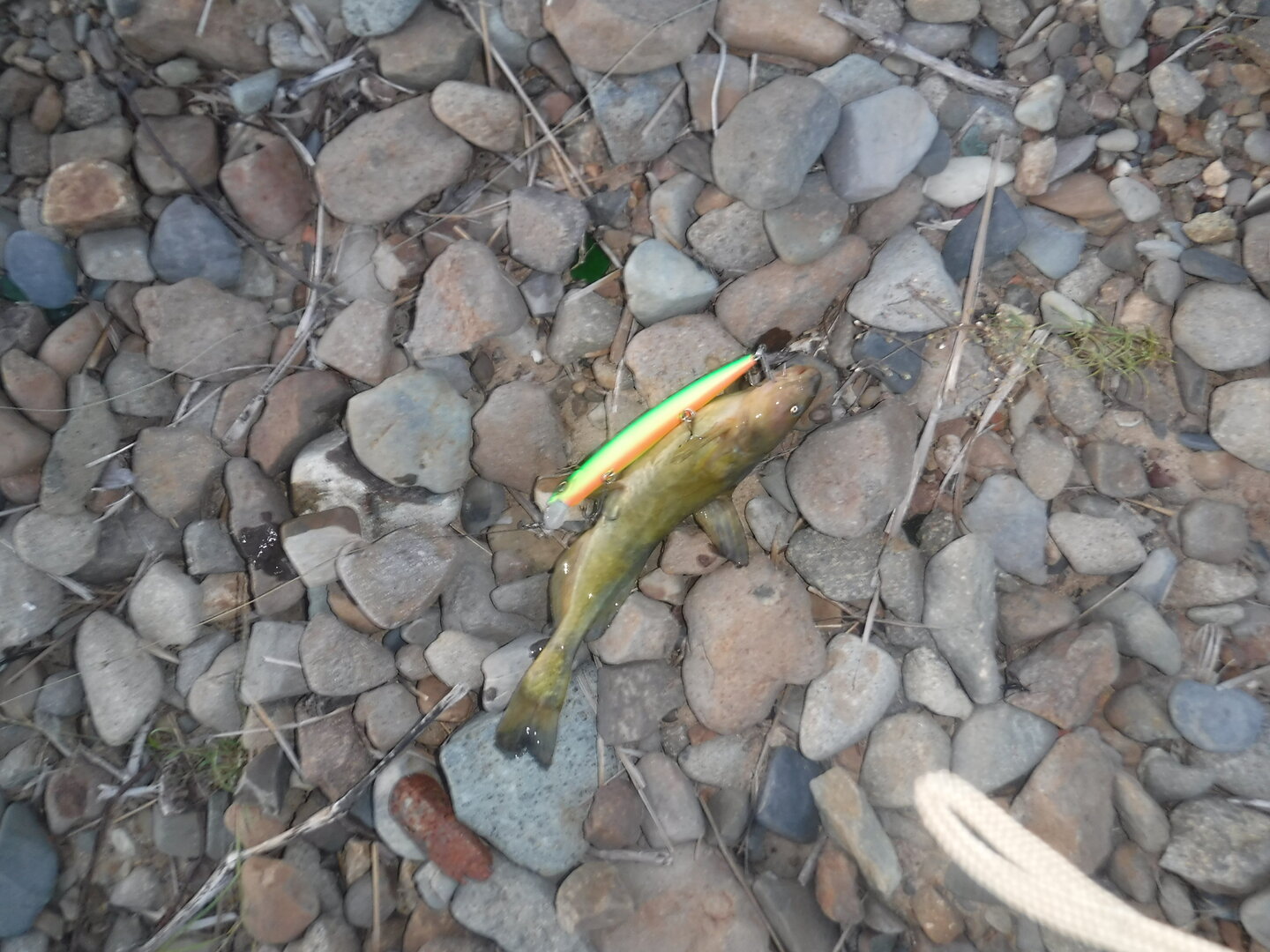 DSCF2122.JPG