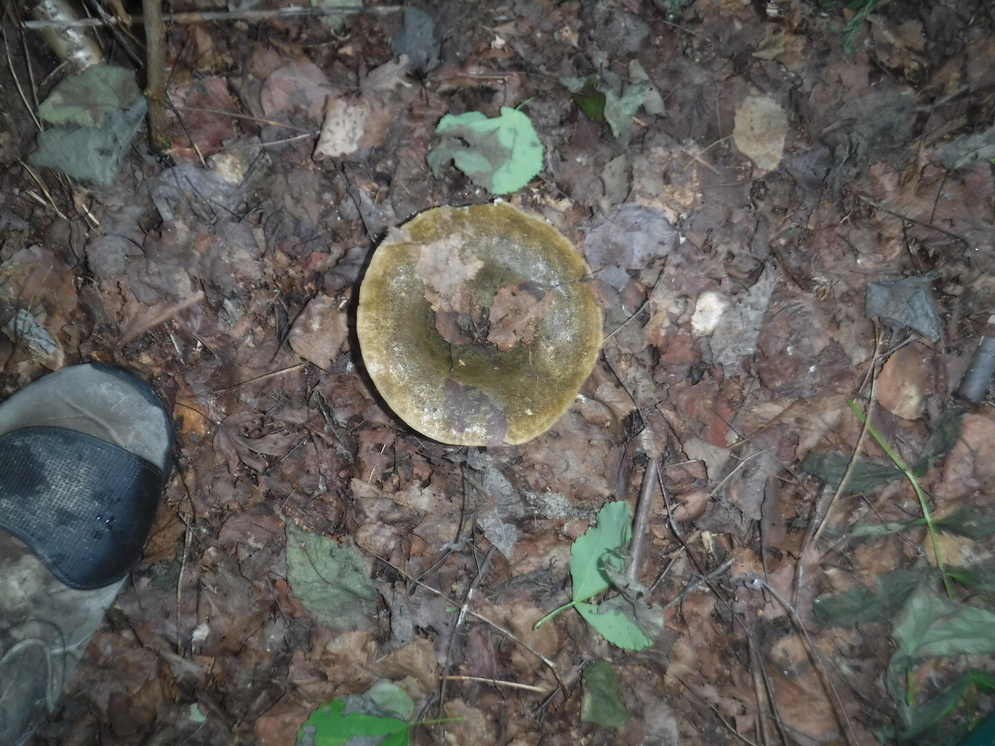 DSCF2147.JPG