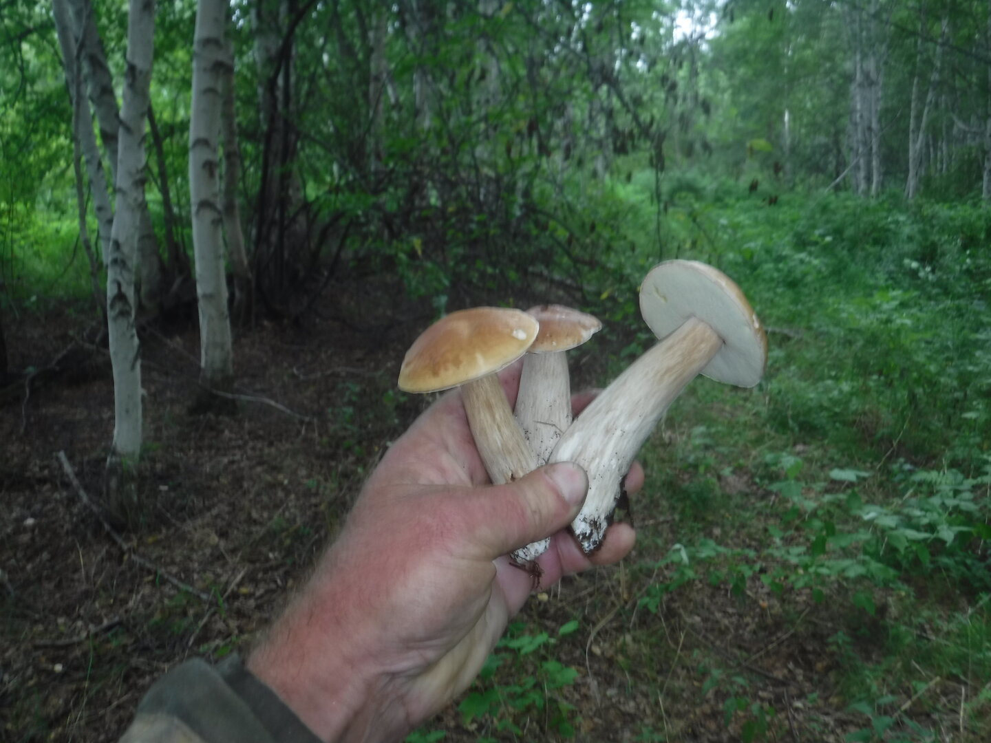 DSCF2150.JPG