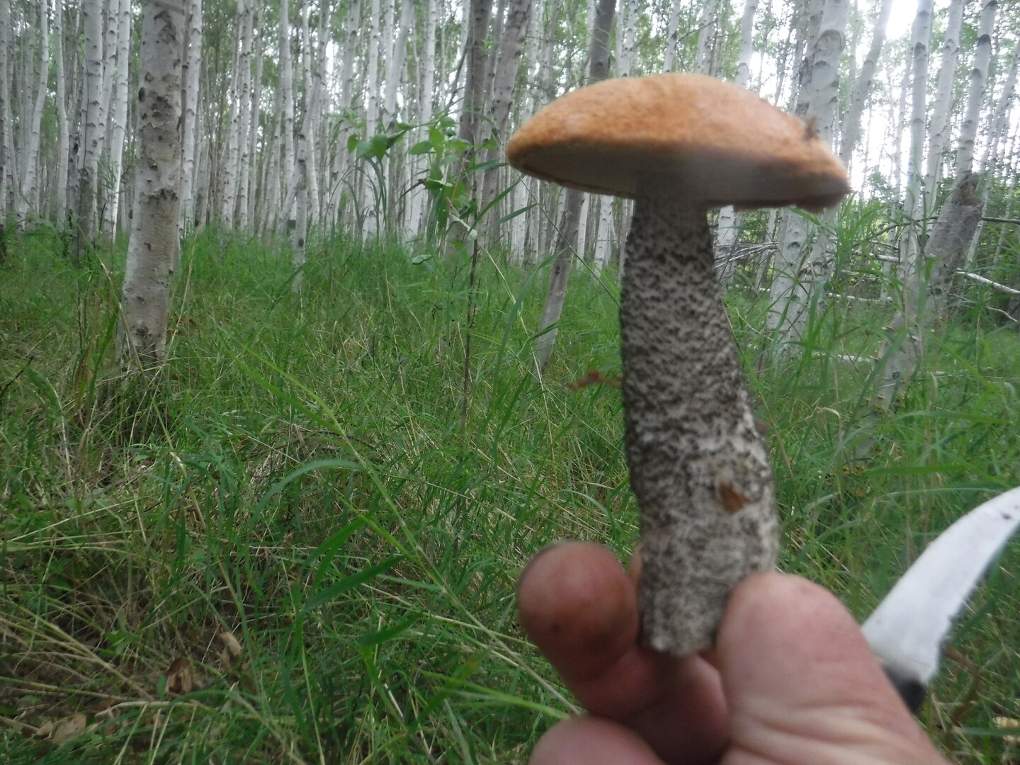 DSCF2162.JPG