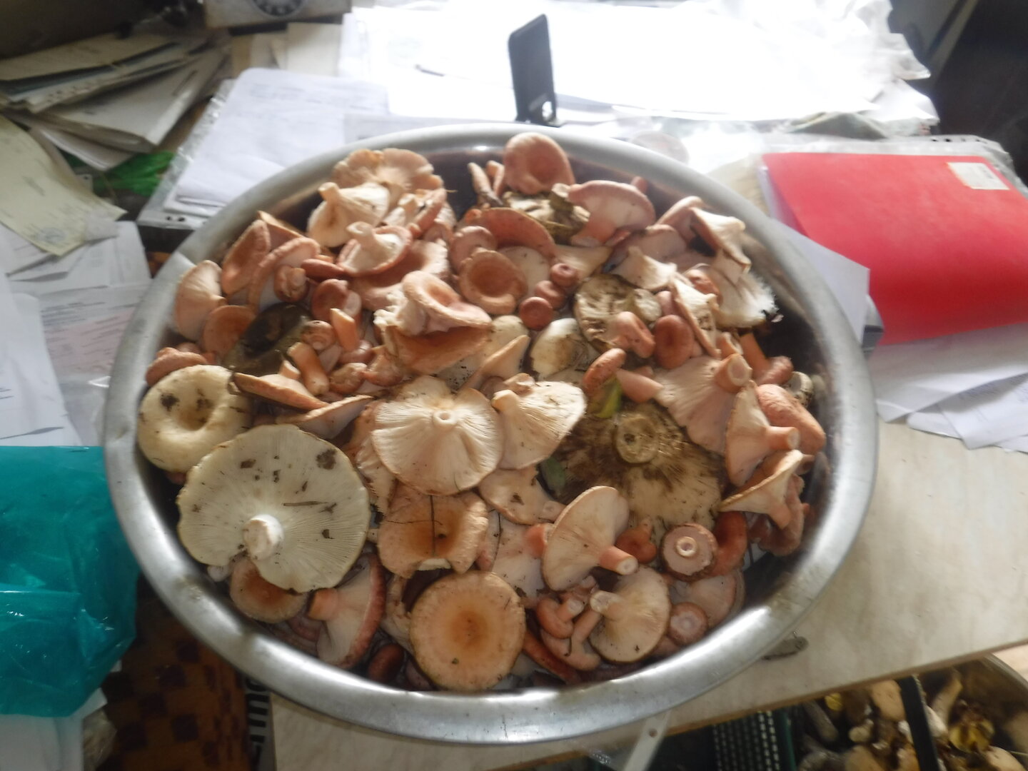 DSCF2170.JPG