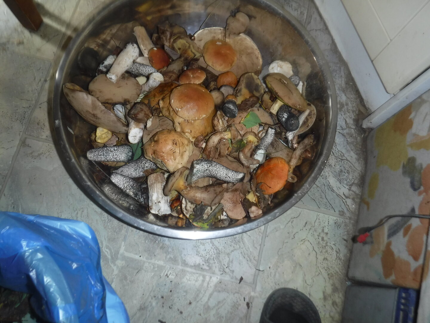 DSCF2171.JPG