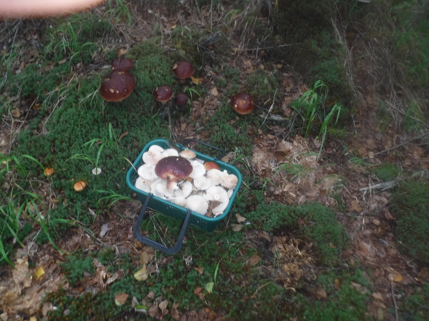 DSCF2180.JPG