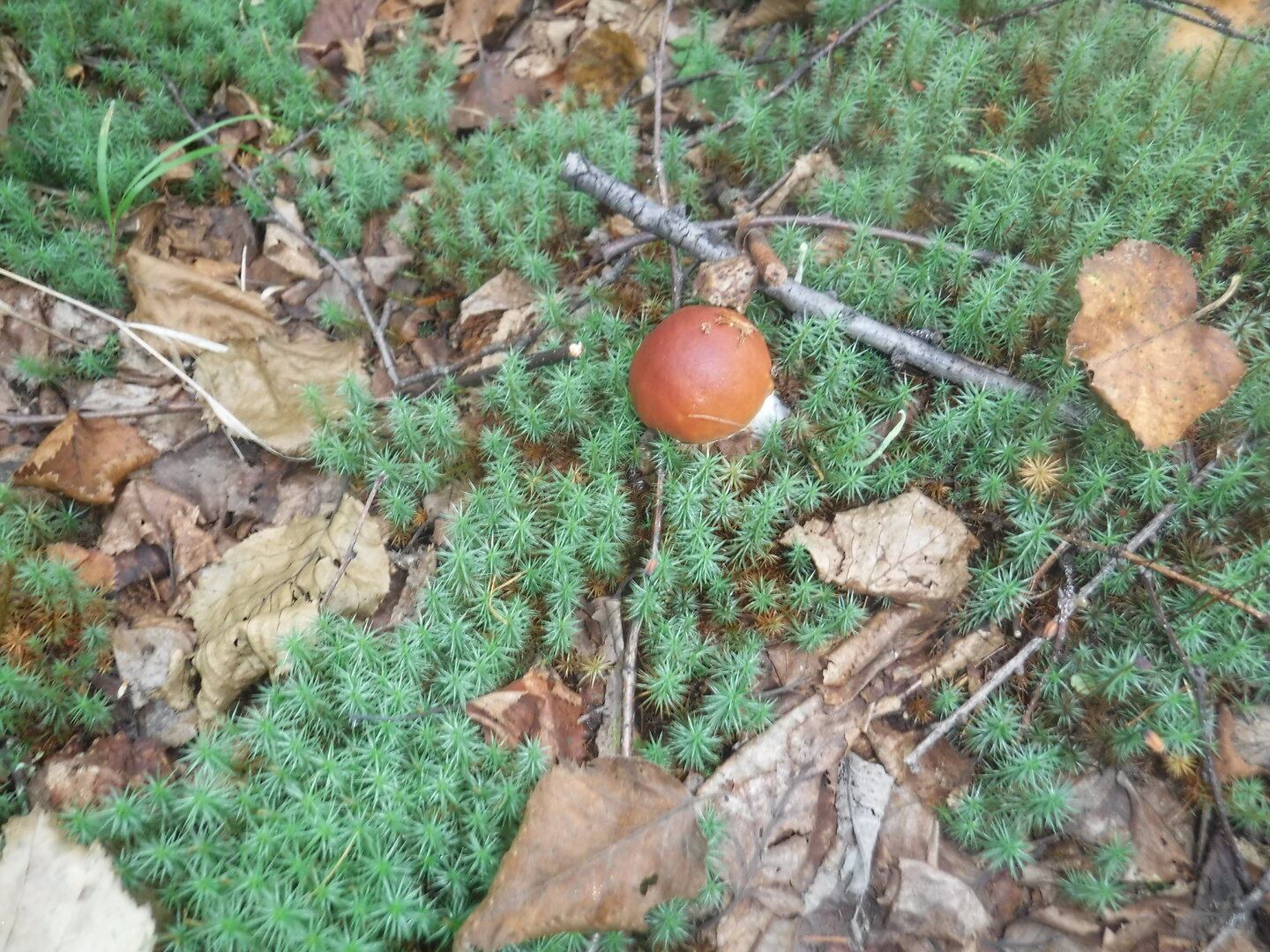 DSCF2182.JPG