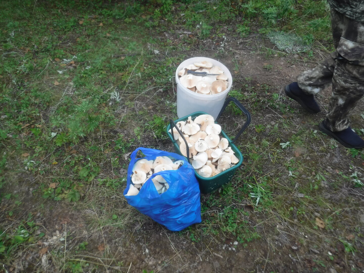 DSCF2189.JPG