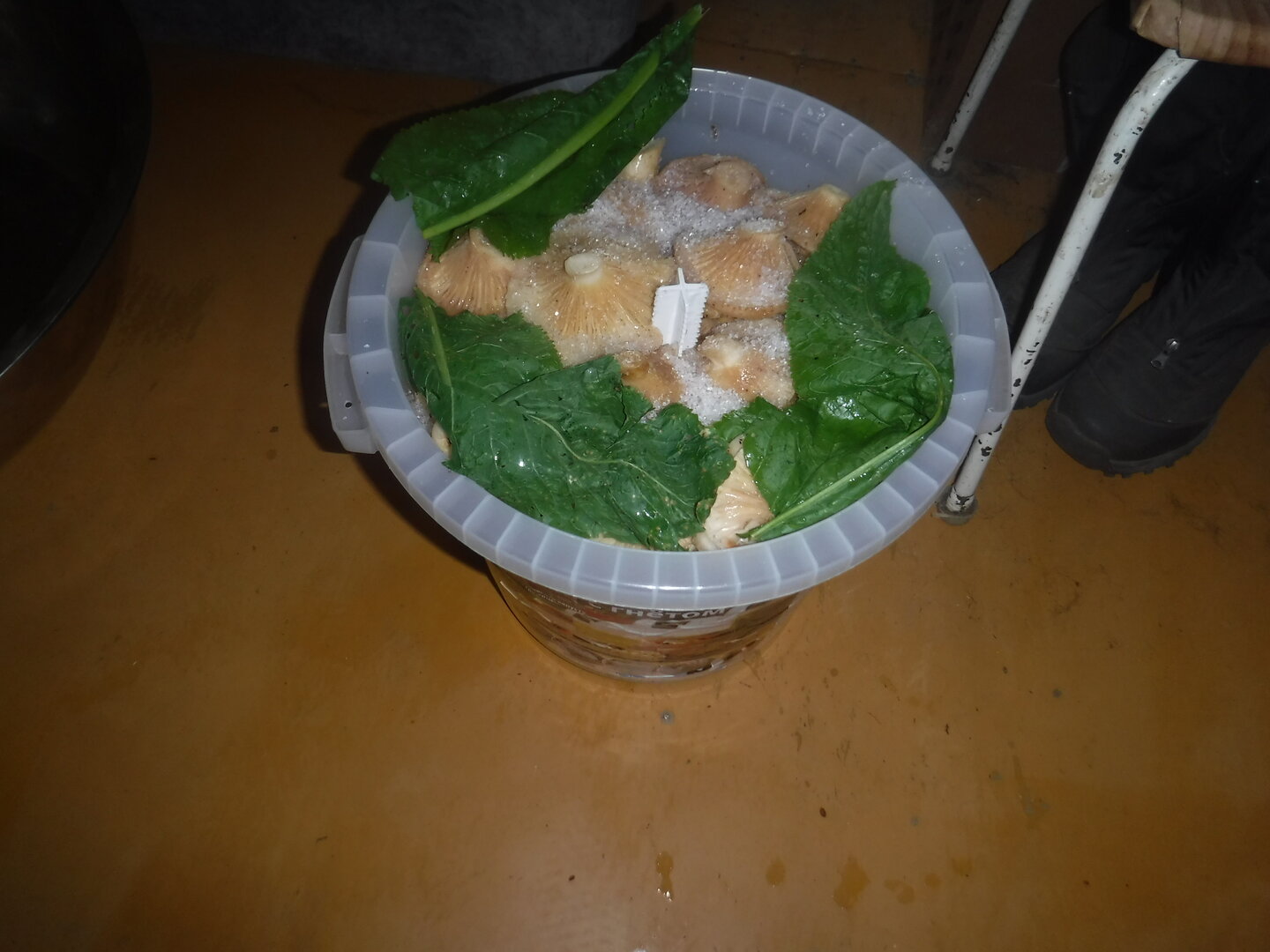 DSCF2191.JPG