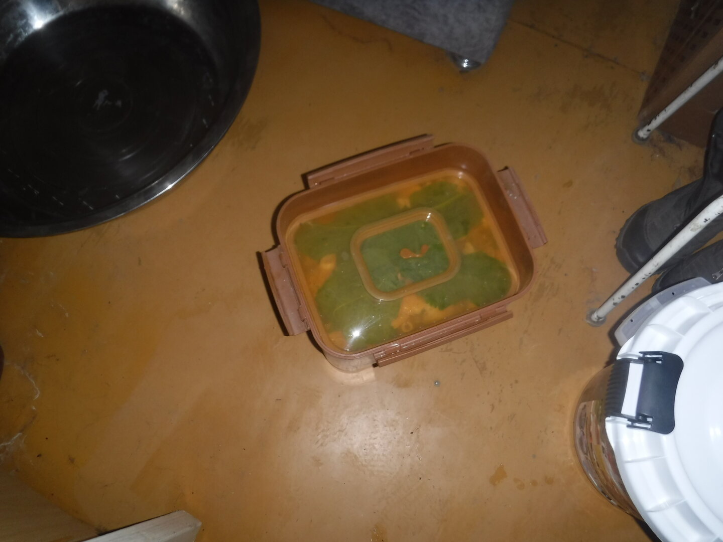 DSCF2192.JPG