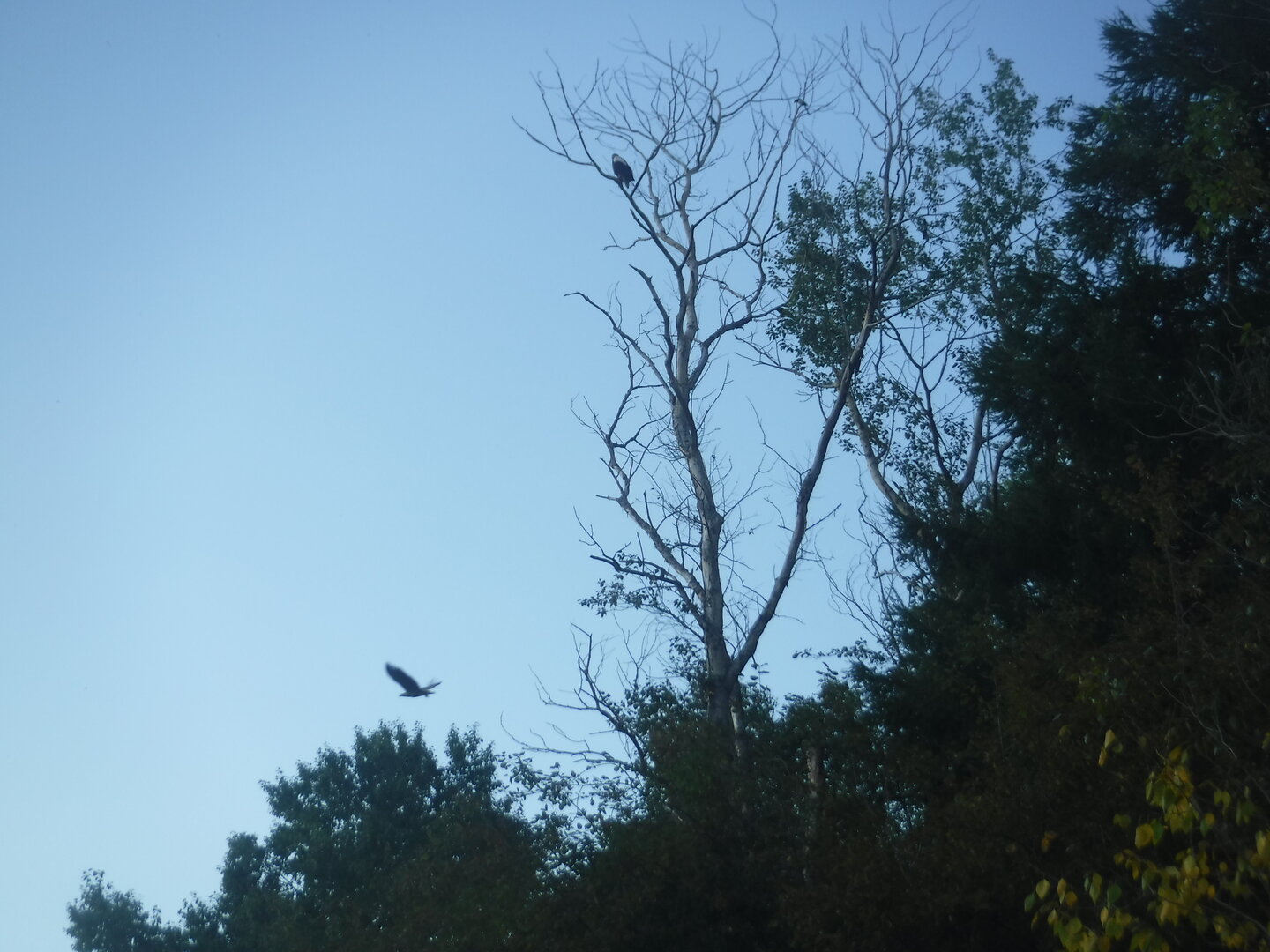 DSCF2194.JPG