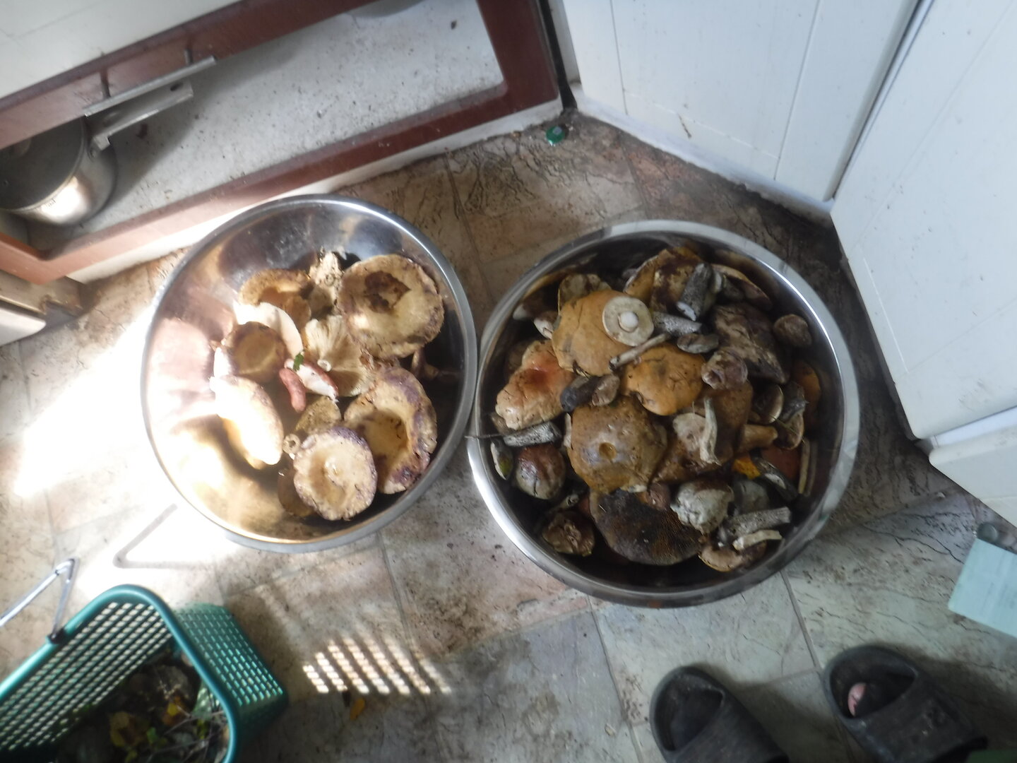 DSCF2213.JPG