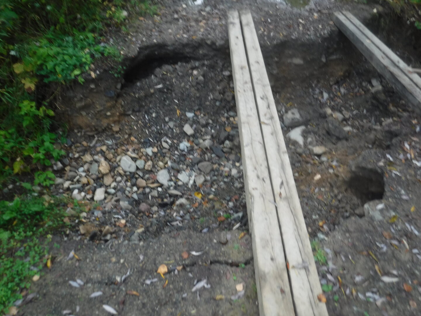 DSCF2251.JPG