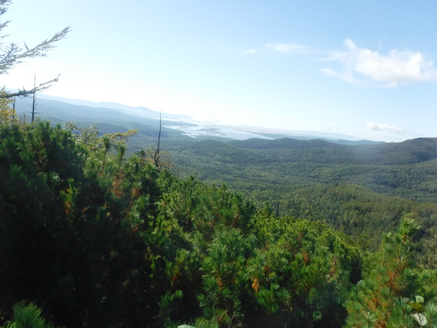 DSCF2254.JPG