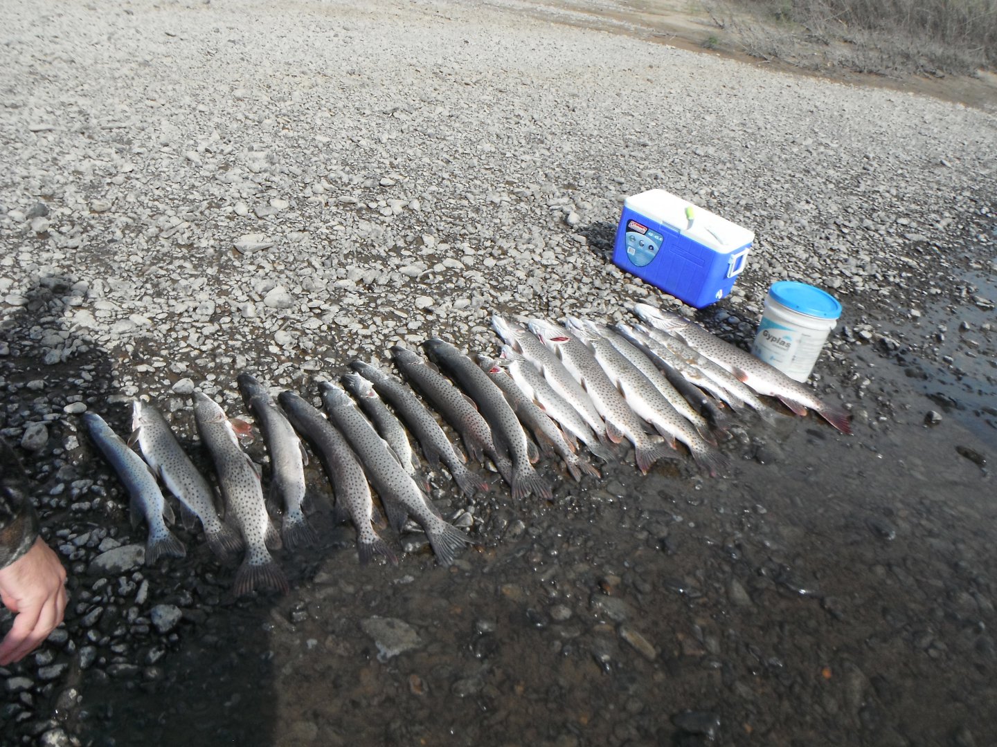 DSCF2269.JPG