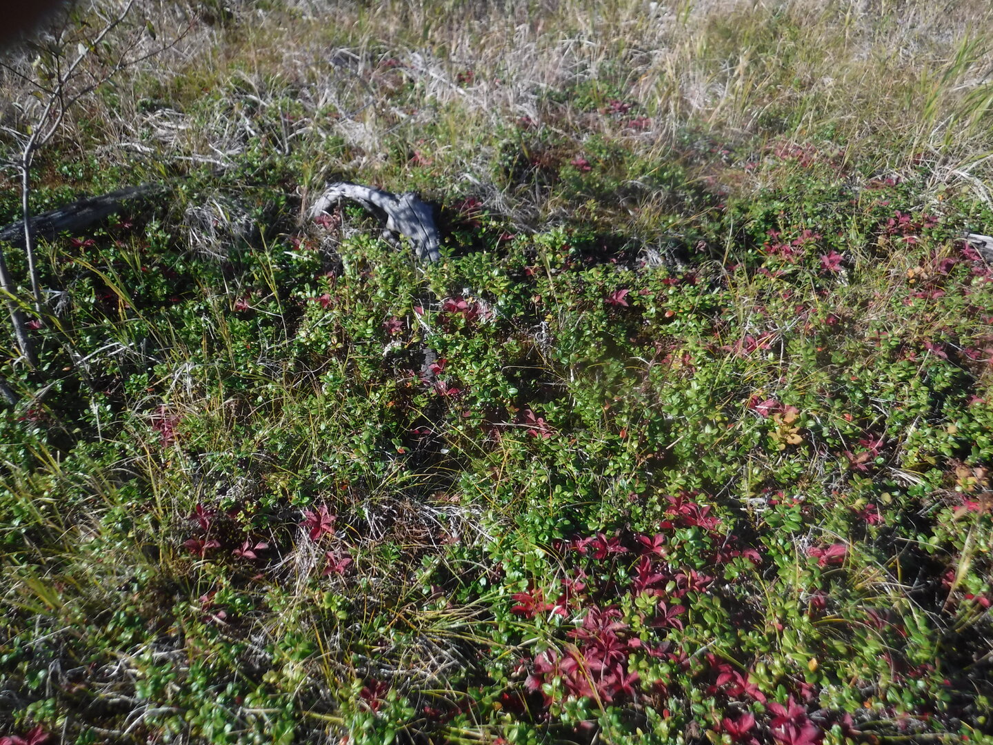 DSCF2297.JPG