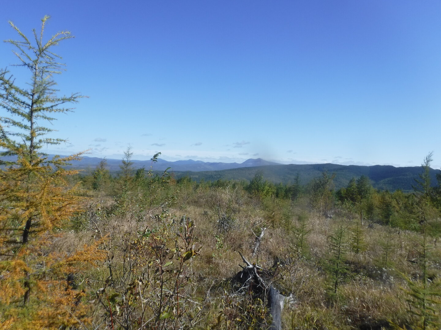 DSCF2299.JPG