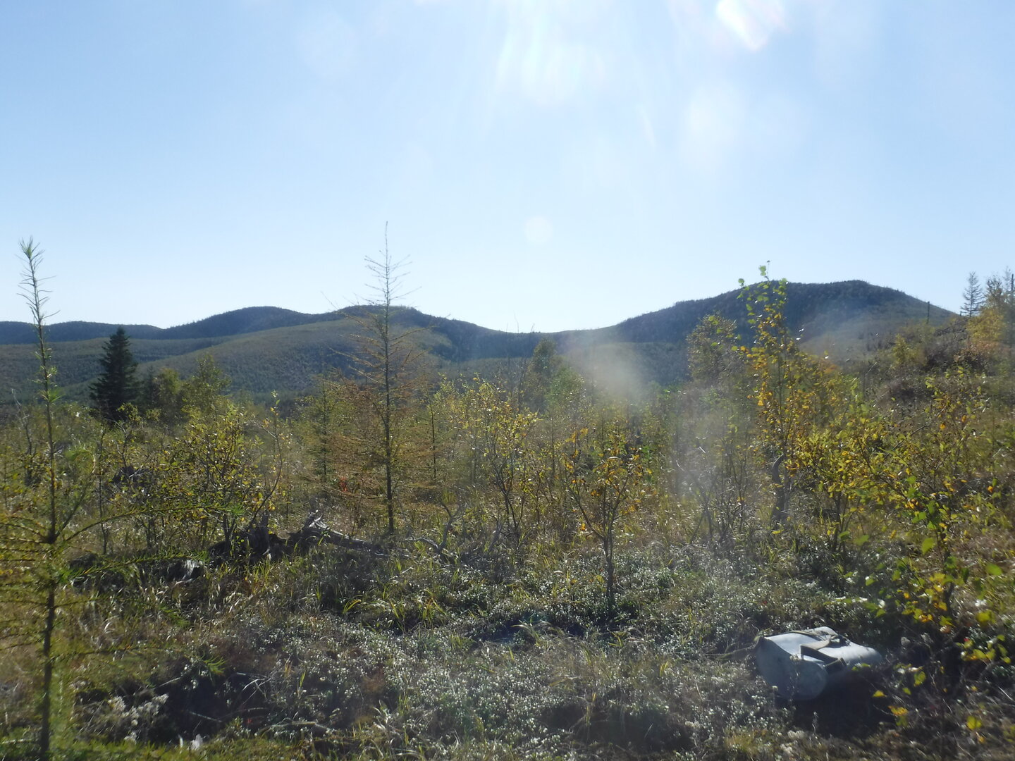 DSCF2301.JPG