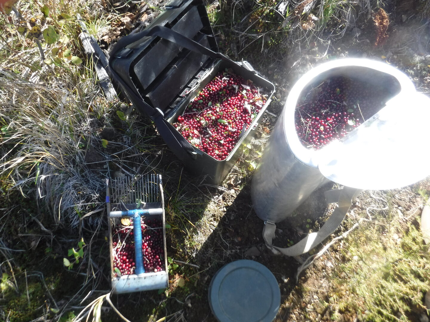 DSCF2307.JPG