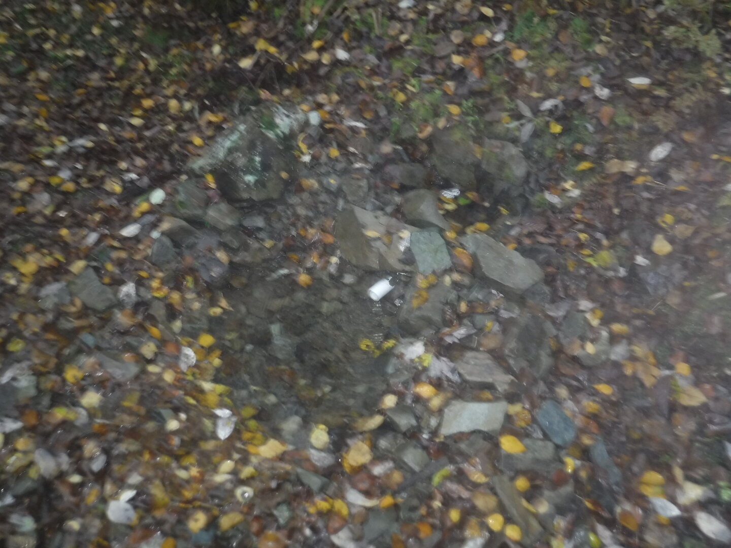 DSCF2327.JPG