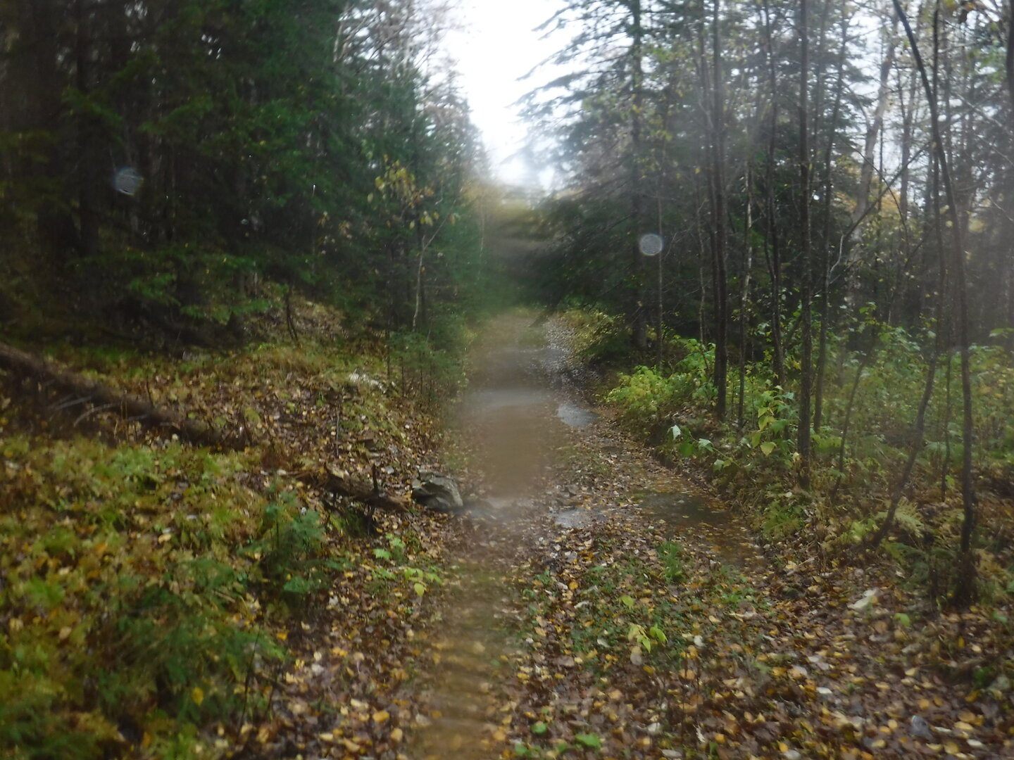 DSCF2329.JPG