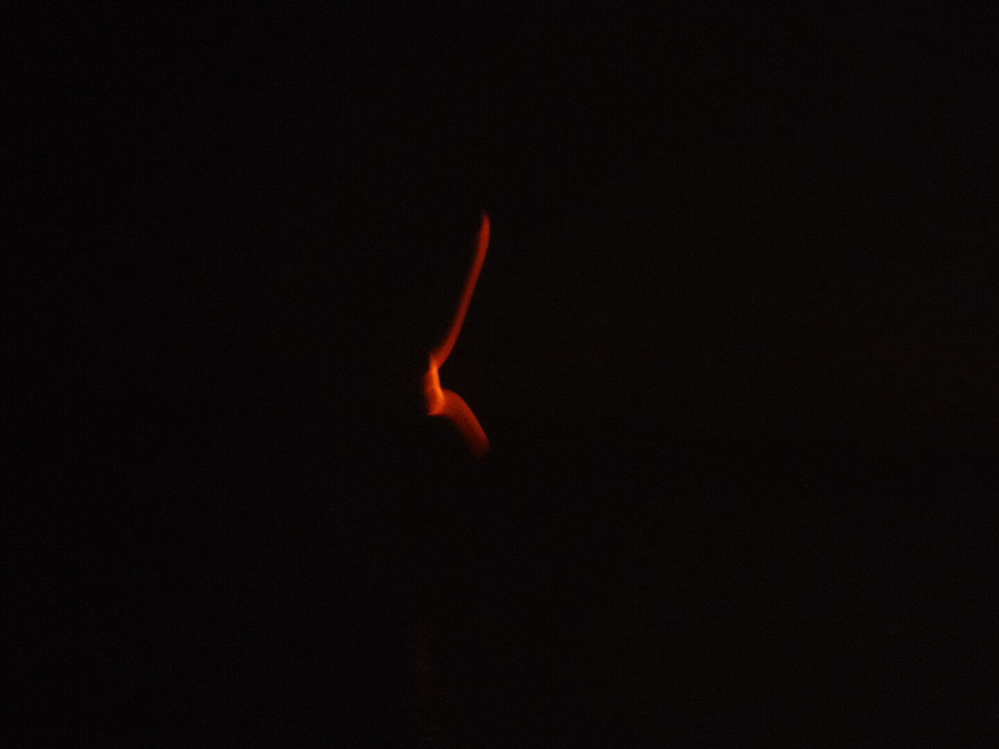 DSCF2337.JPG