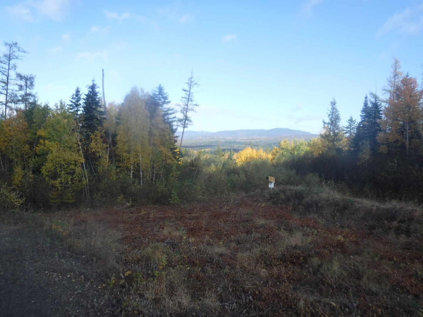 DSCF2341.JPG