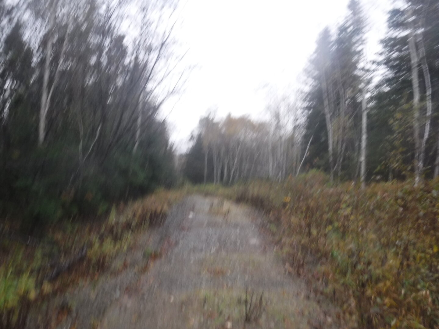 DSCF2352.JPG