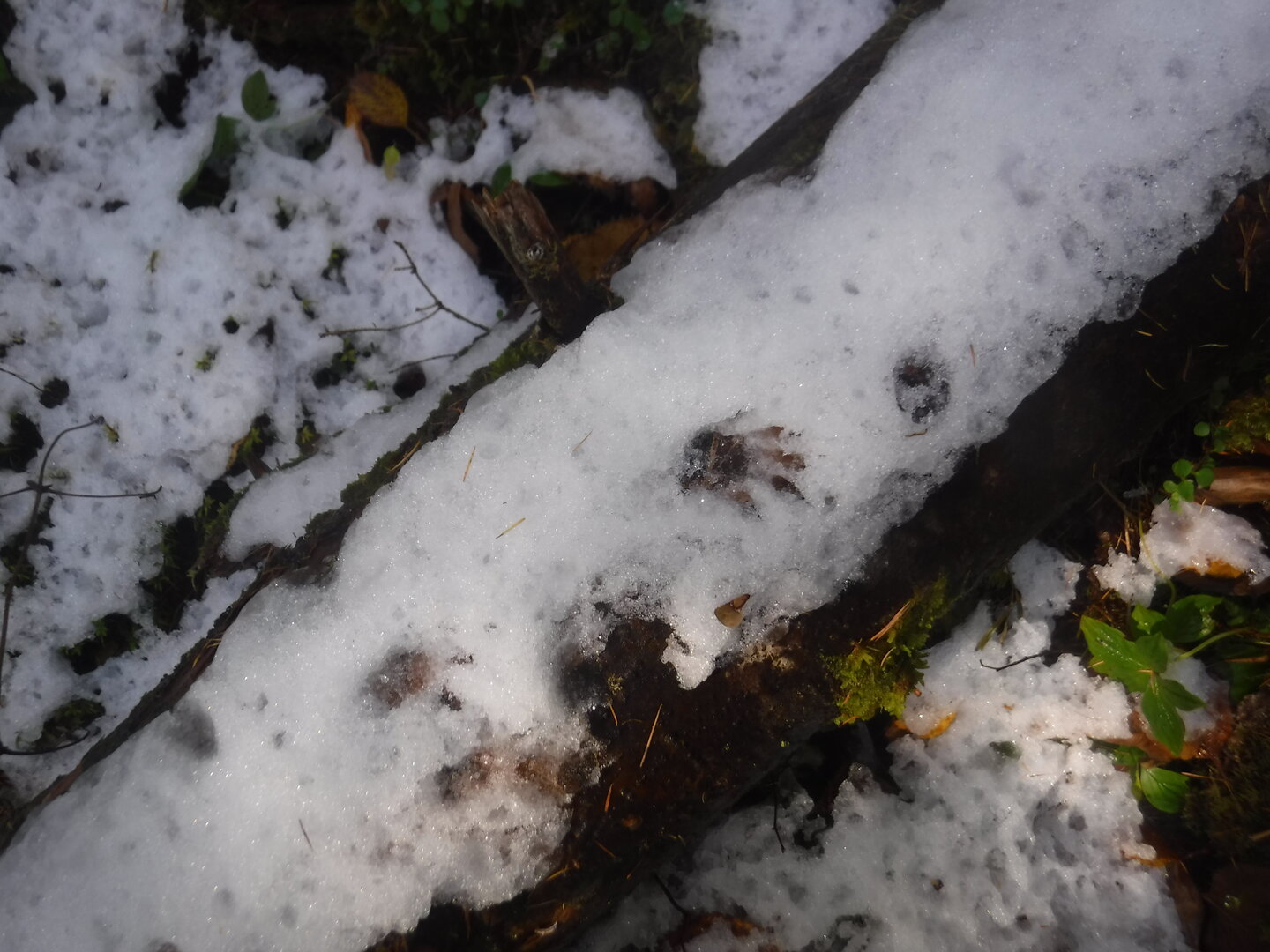 DSCF2365.JPG