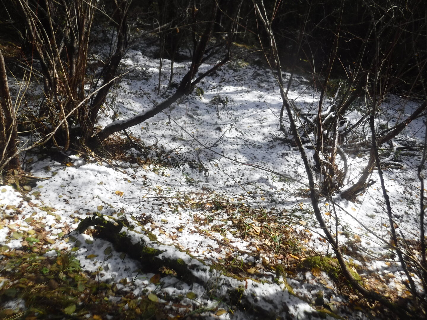 DSCF2367.JPG