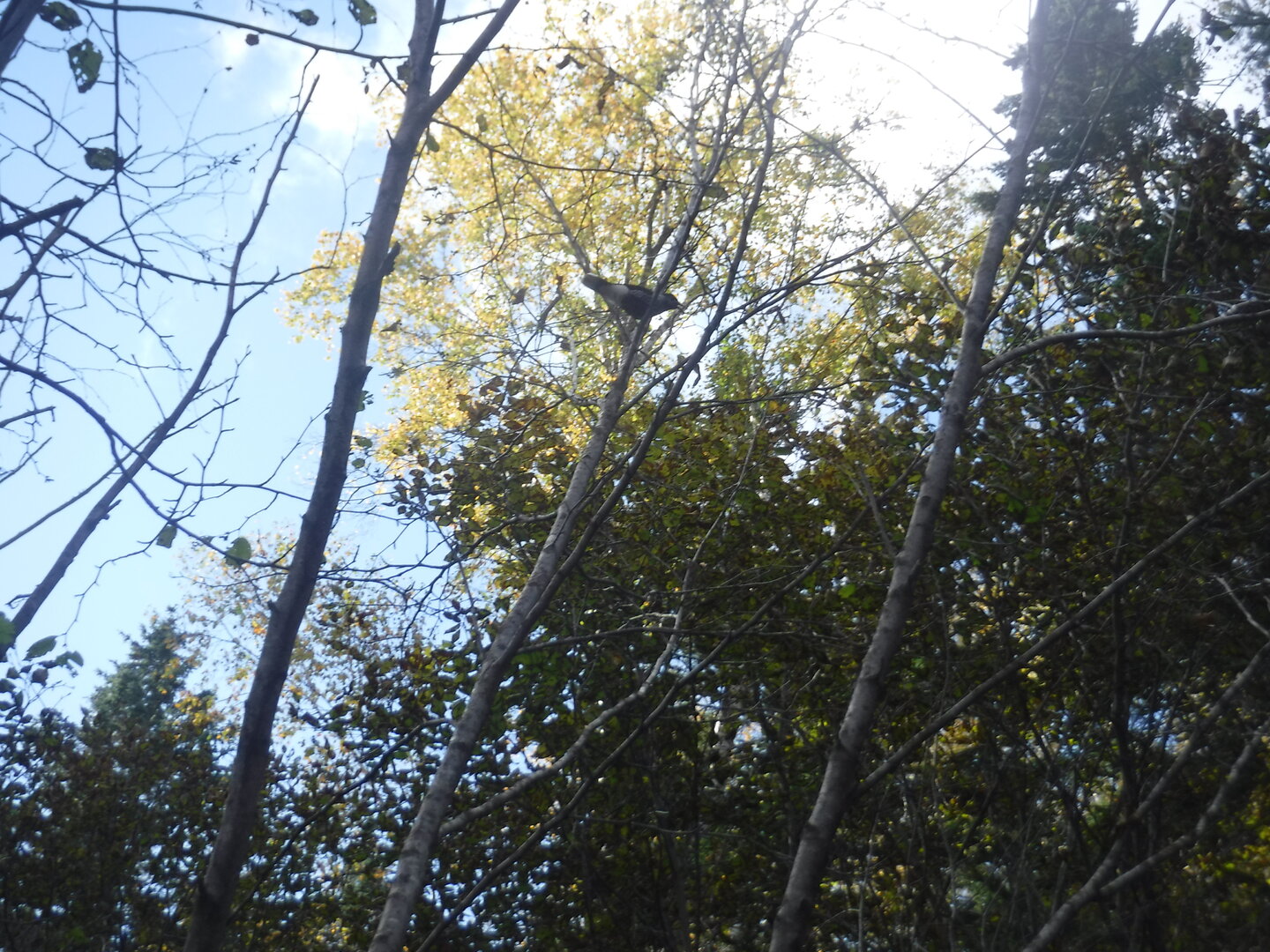 DSCF2370.JPG